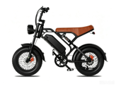 GT600 20 inch