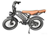 GT600Pro 20 inch rear shelf