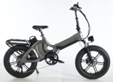 S2 (20 inch) dual battery