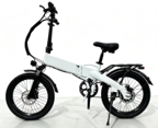 T8 (20 inch)